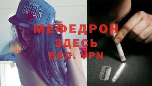 индика Заволжье