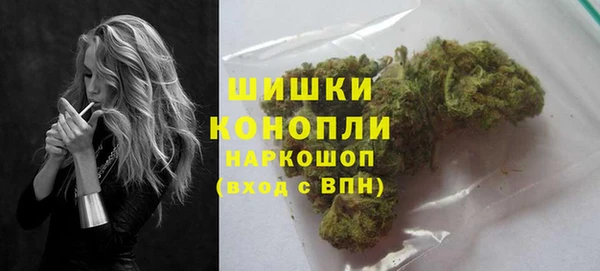 индика Заволжье