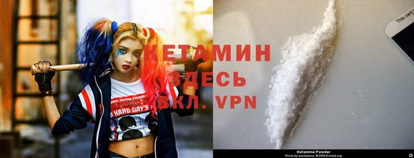 индика Заволжье