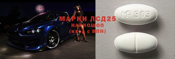 индика Заволжье