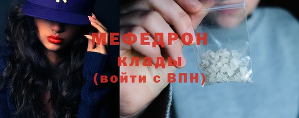 индика Заволжье