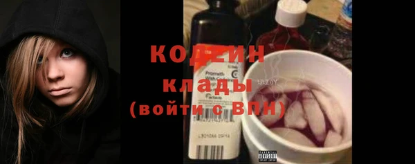 индика Заволжье