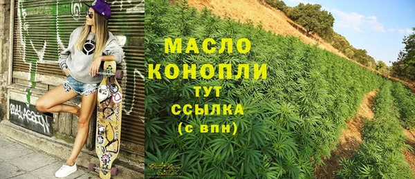 индика Заволжье