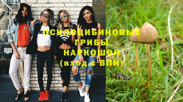 индика Заволжье